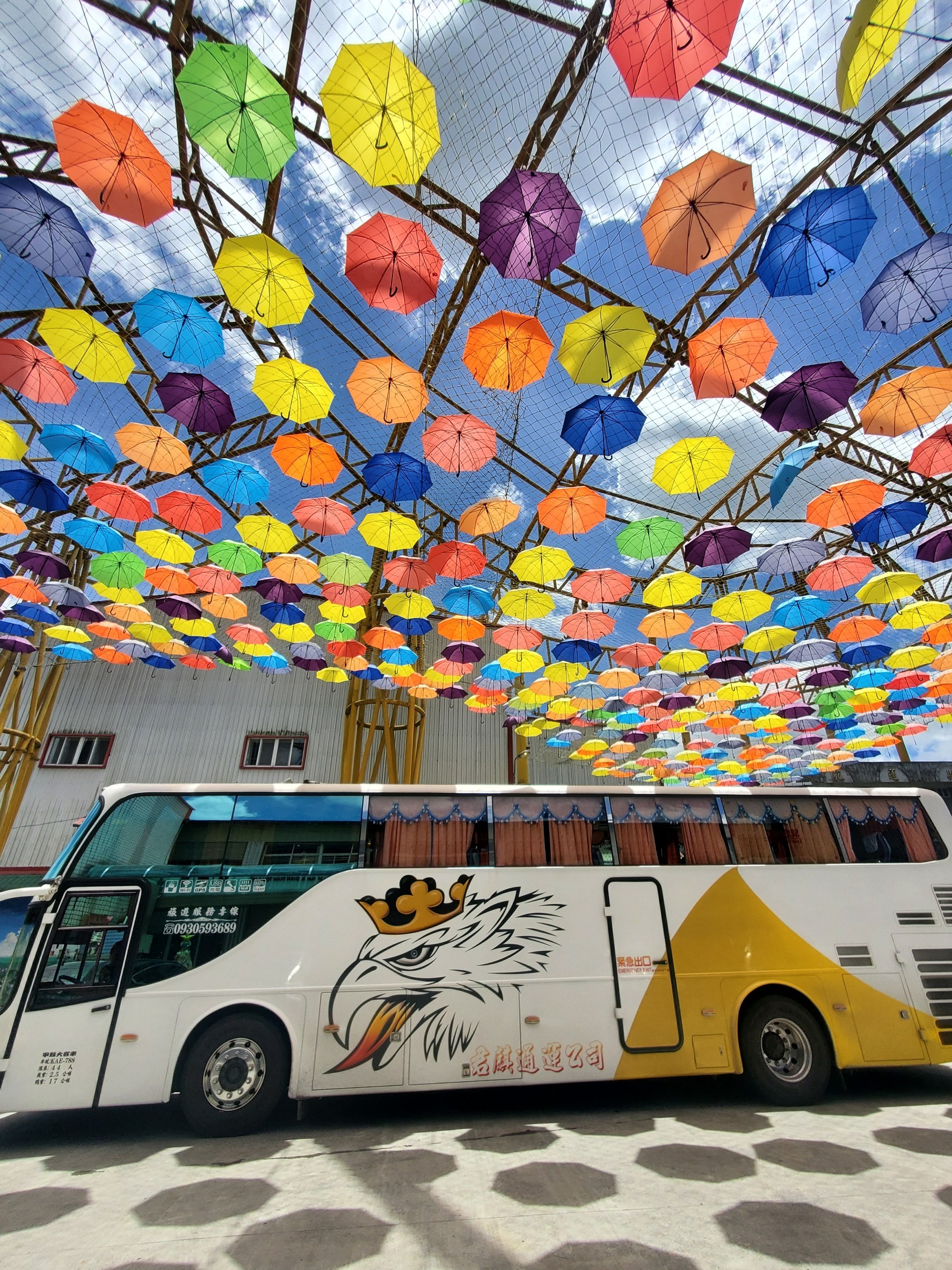 萬能國際旅行社照片2