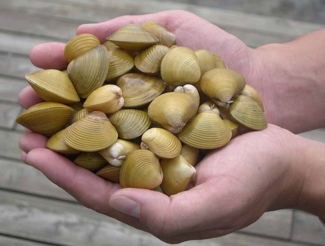 花蓮縣壽豐鄉農會供銷部 - 壽豐鄉農會物流中心照片1