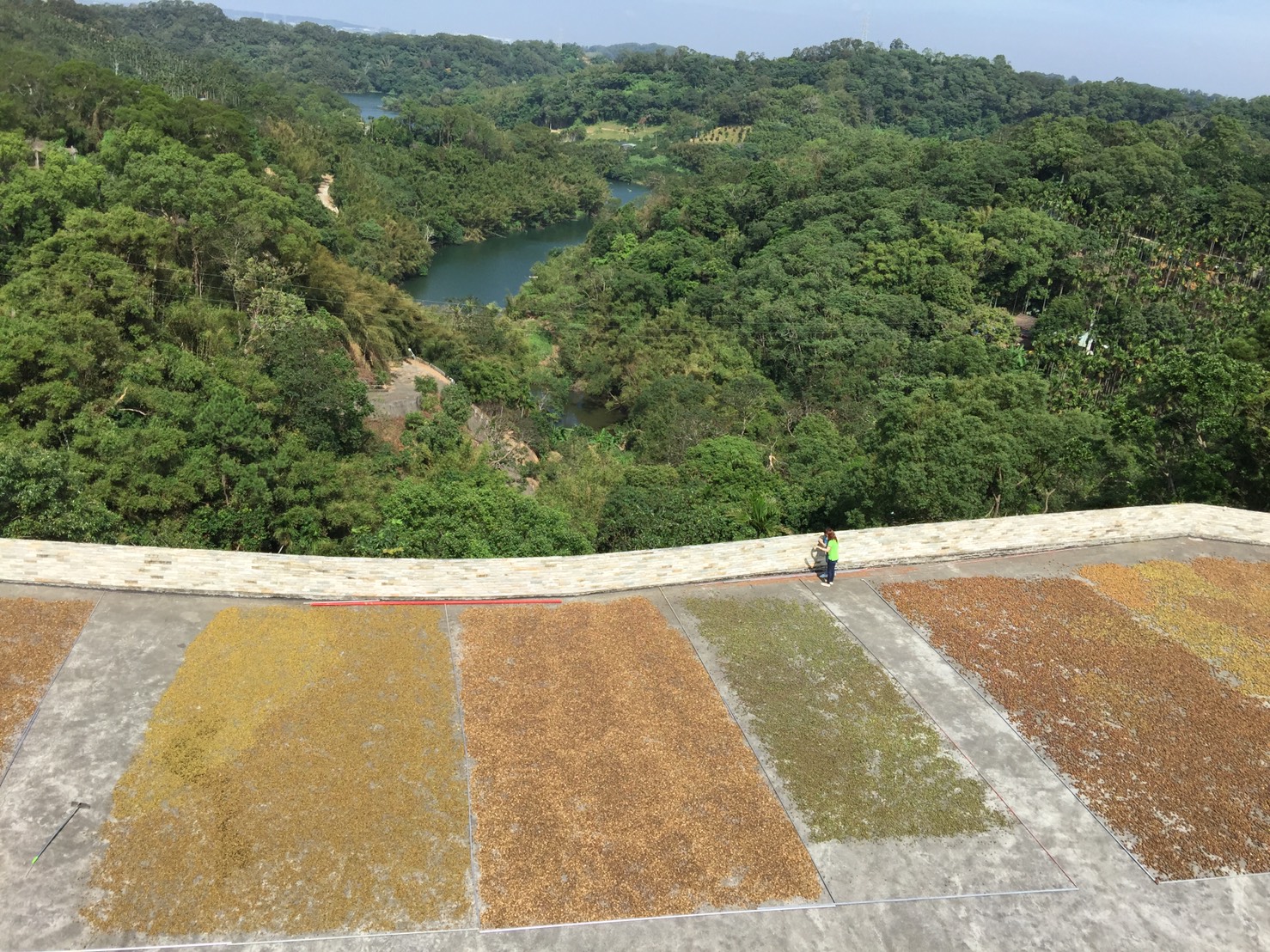 金椿茶油工坊照片4