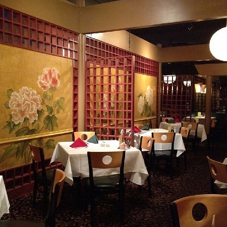 photo of May Dragon2