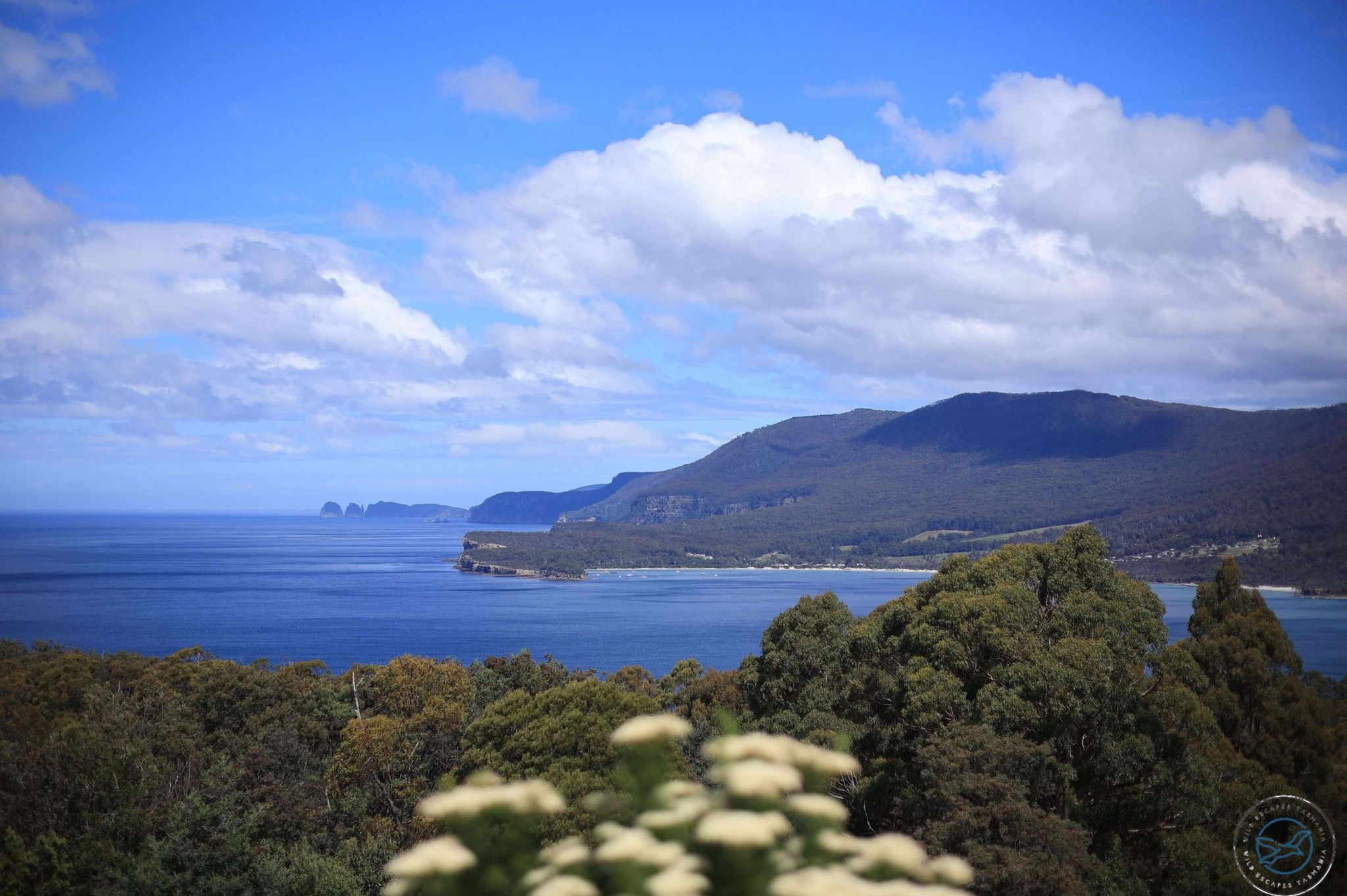 photo of 外島生活Wild Escapes Tasmania2