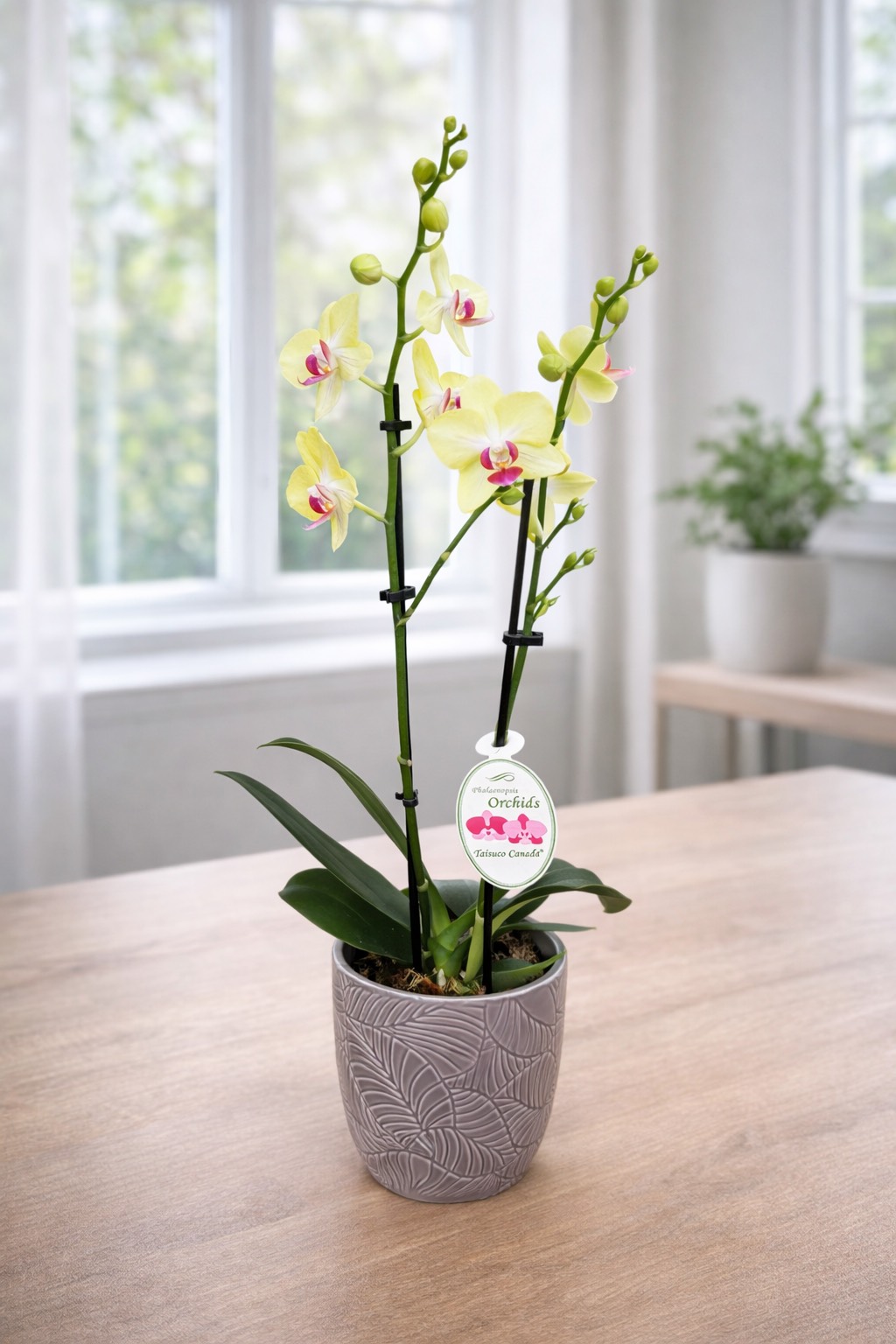 photo of Taisuco Canada Agriculture Corp. （臺糖蘭花園區）4