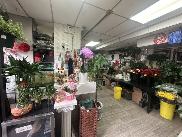 photo of New Confucius Florist(芬芳海棠花舖)2
