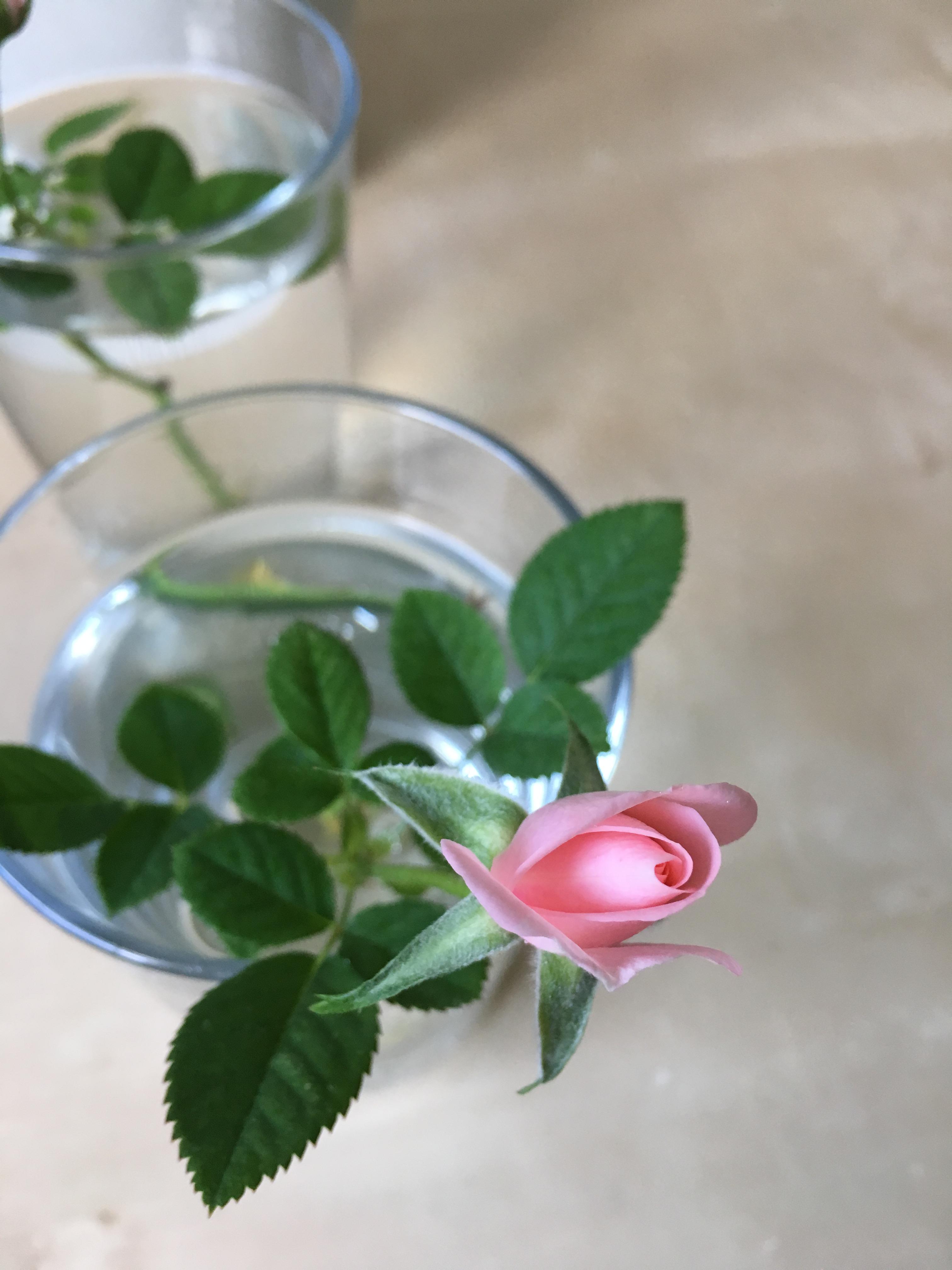 photo of Die Klangfarbe/音色2